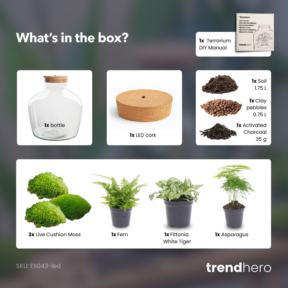 Fat Joe Green - Terrarium with light - Bottle garden DIY kit - Ø 29 cm ↑ 30 cm