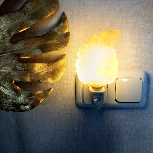 Oranje zoutsteen blad nachtlampje