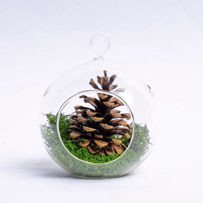 Glass Christmas Ball - Pinecone and Reindeer Moss
