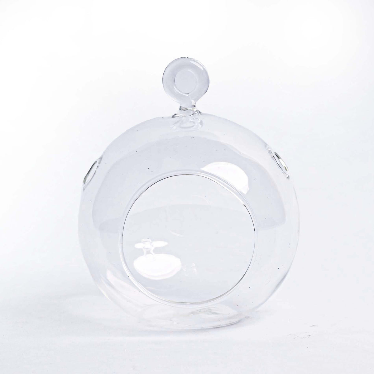 Glass Christmas Ball - Airplant and Reindeer Moss