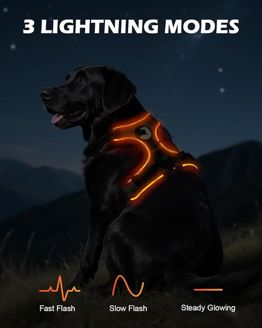 Honden tuigje-Led lichtgevend hondenharnas -Verstelbaar- Oplaadbaar -Blauw-Maat M