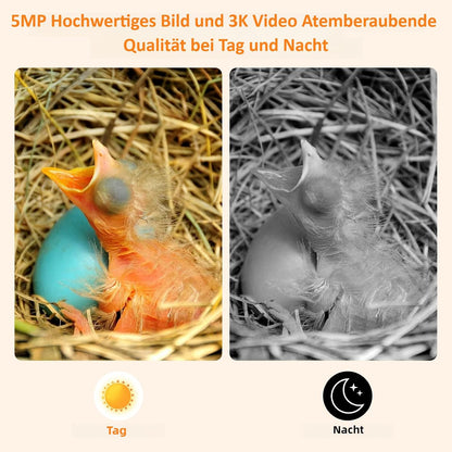Vogelhuis met 5 MP camera, nestkast voor vogels voor buiten, 2,4 G wifi & app-melding