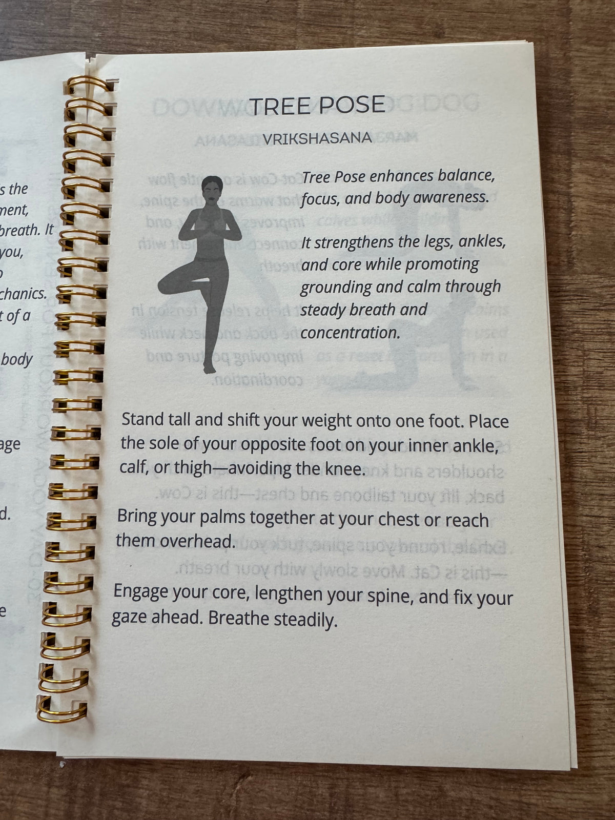 Yoga Dagboekje