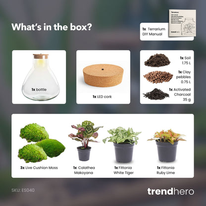 Sam XL Red - Terrarium with light - Bottle garden DIY kit - Ø 30 cm ↑ 32 cm