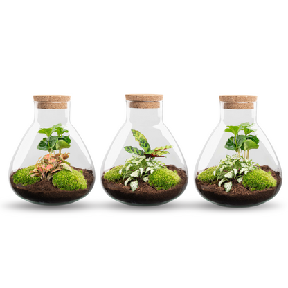 Sammie - Terrarium with light - Bottle garden DIY kit - Ø 22,5 cm ↑ 27 cm