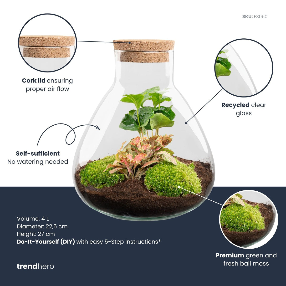Sammie - Terrarium with light - Bottle garden DIY kit - Ø 22,5 cm ↑ 27 cm