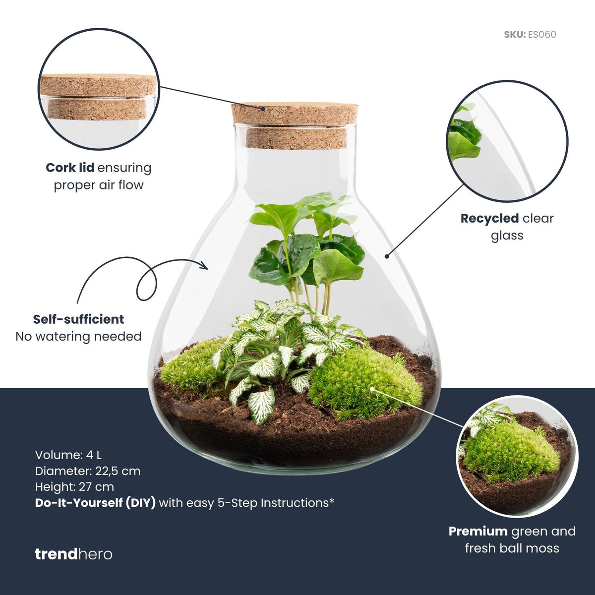 Sammie - Terrarium with light - Bottle garden DIY kit - Ø 22,5 cm ↑ 27 cm