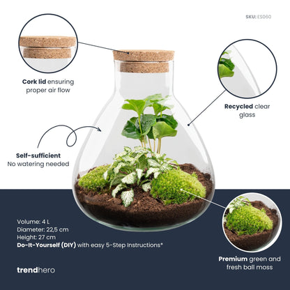Sammie - Terrarium with light - Bottle garden DIY kit - Ø 22,5 cm ↑ 27 cm