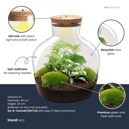 Fat Joe Green - Terrarium with light - Bottle garden DIY kit - Ø 29 cm ↑ 30 cm