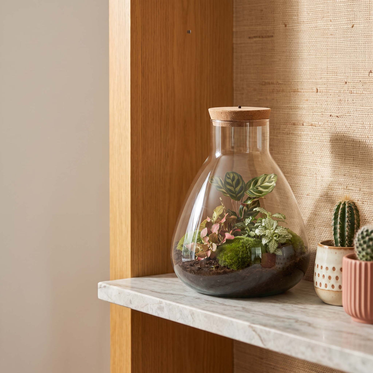 Sam Calathea - Terrarium with light - Bottle garden DIY kit - Ø 24.5 cm ↑ 30 cm