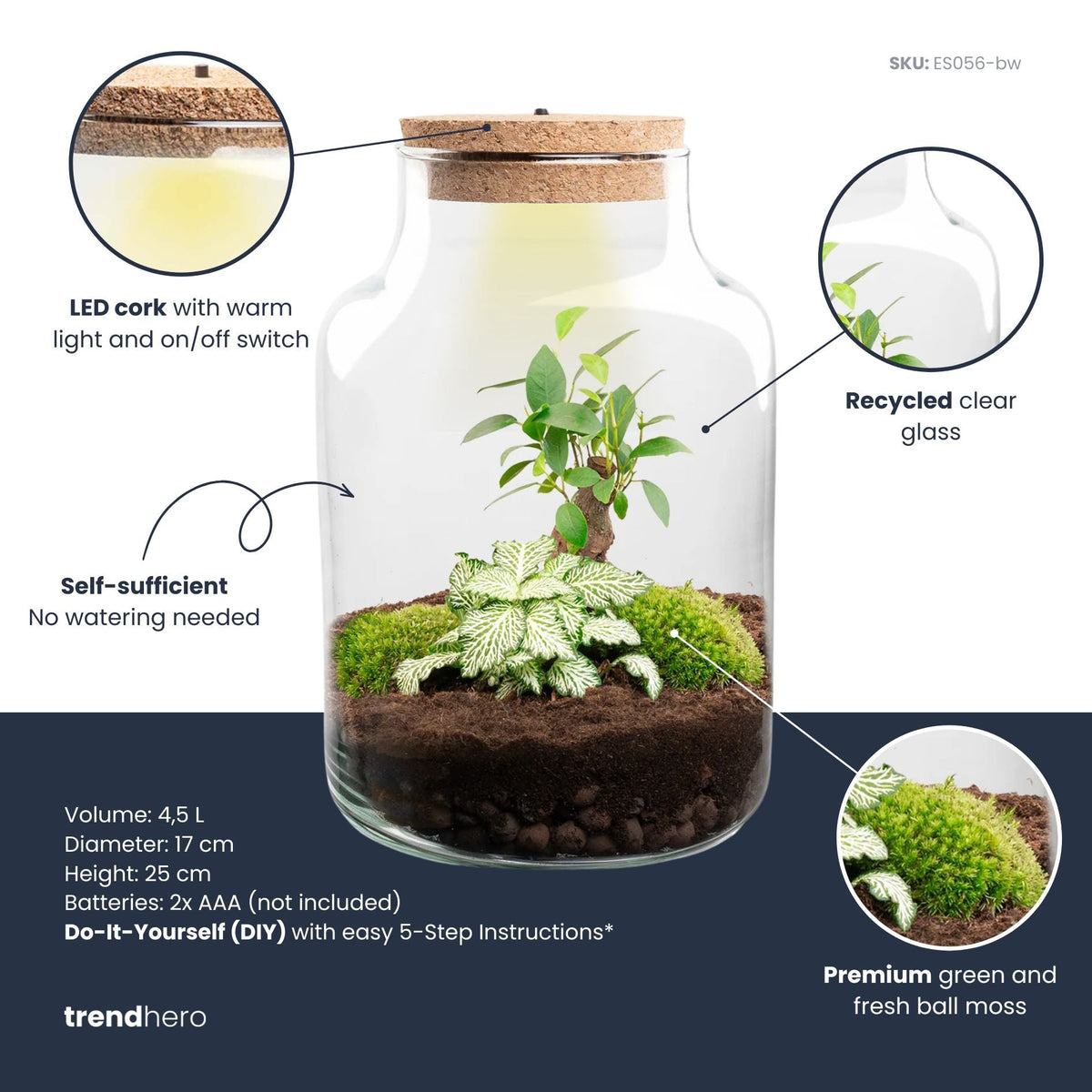 Little Milky - Bonsai - Terrarium with light - Bottle garden DIY kit - Ø 17 cm ↑ 25 cm